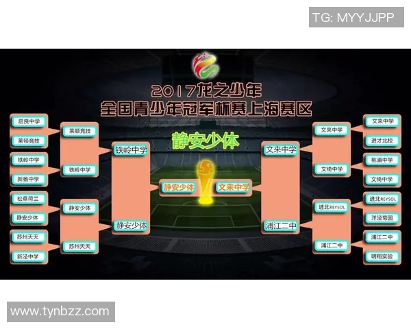 武汉足球队杯赛表现分析：经验与战术的完美结合